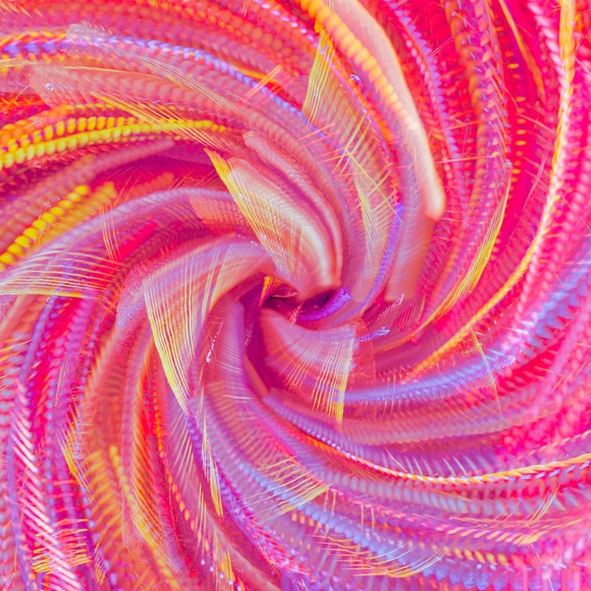 eugene-golovesov-sKDnGFUuRws-unsplash unsplash